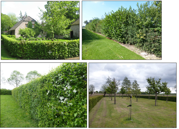 afbeelding "i_NL.IMRO.1652.Buitengebied102020-ON01_0006.png"